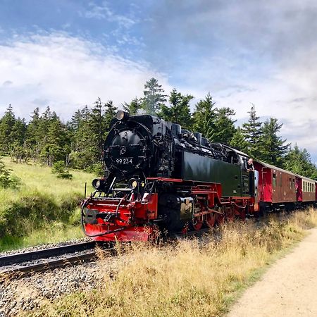Fewo Fuchsbau Mit Dampfdusche #Kamin#Innenstadtnaehe#Netflix Von Harztraveler Bad Harzburg Zewnętrze zdjęcie