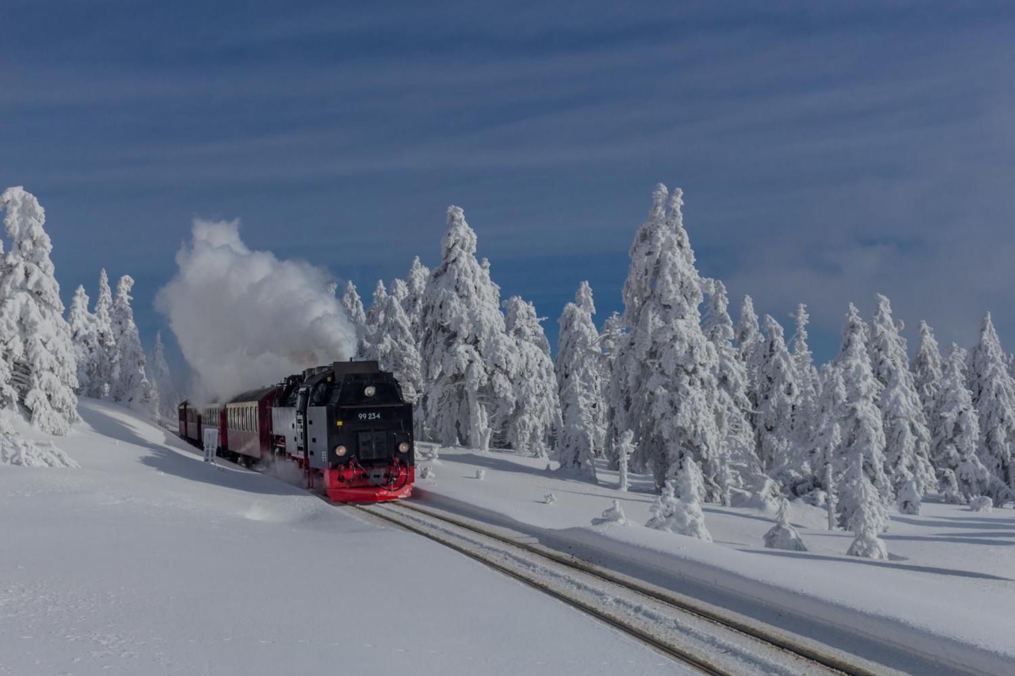 Fewo Fuchsbau Mit Dampfdusche #Kamin#Innenstadtnaehe#Netflix Von Harztraveler Bad Harzburg Zewnętrze zdjęcie